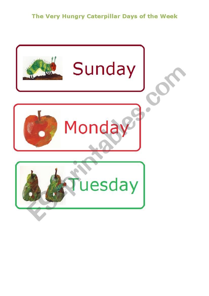 The Very Hungry Caterpillar Days of the Week(1)