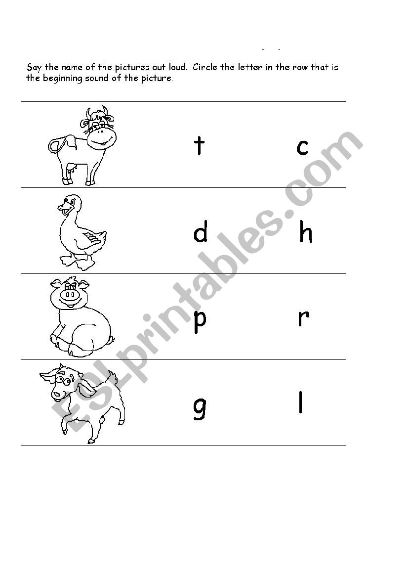 animals  worksheet