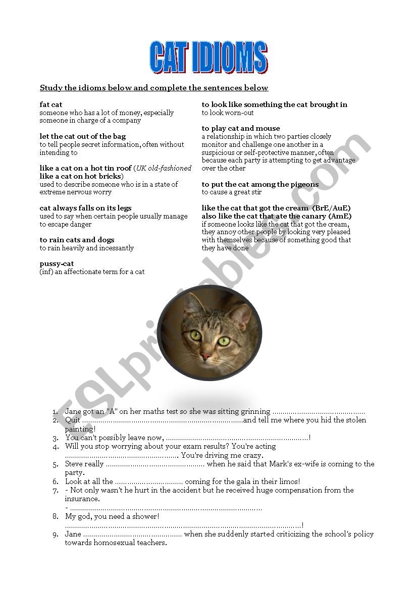 Cat idioms worksheet