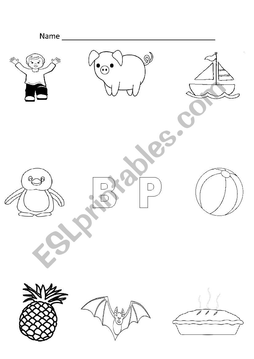 B and P Worksheet worksheet