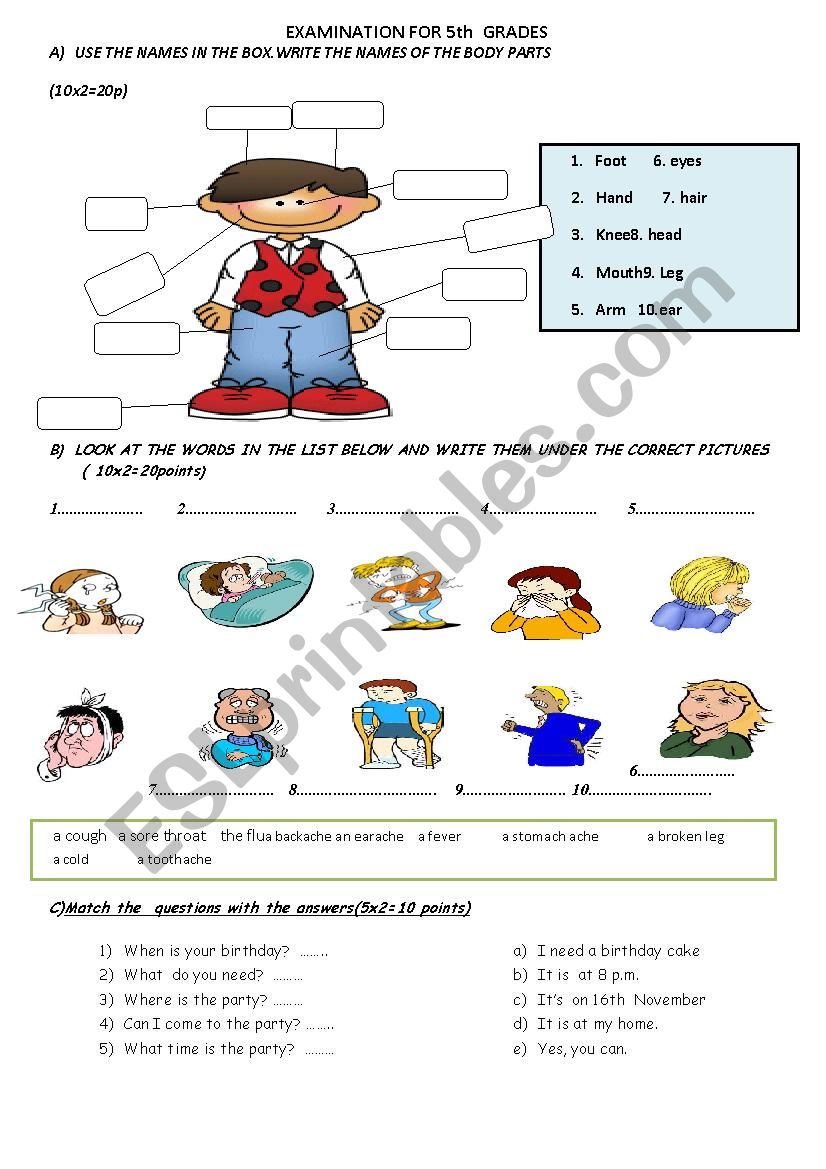 5th GRADE EXAM worksheet