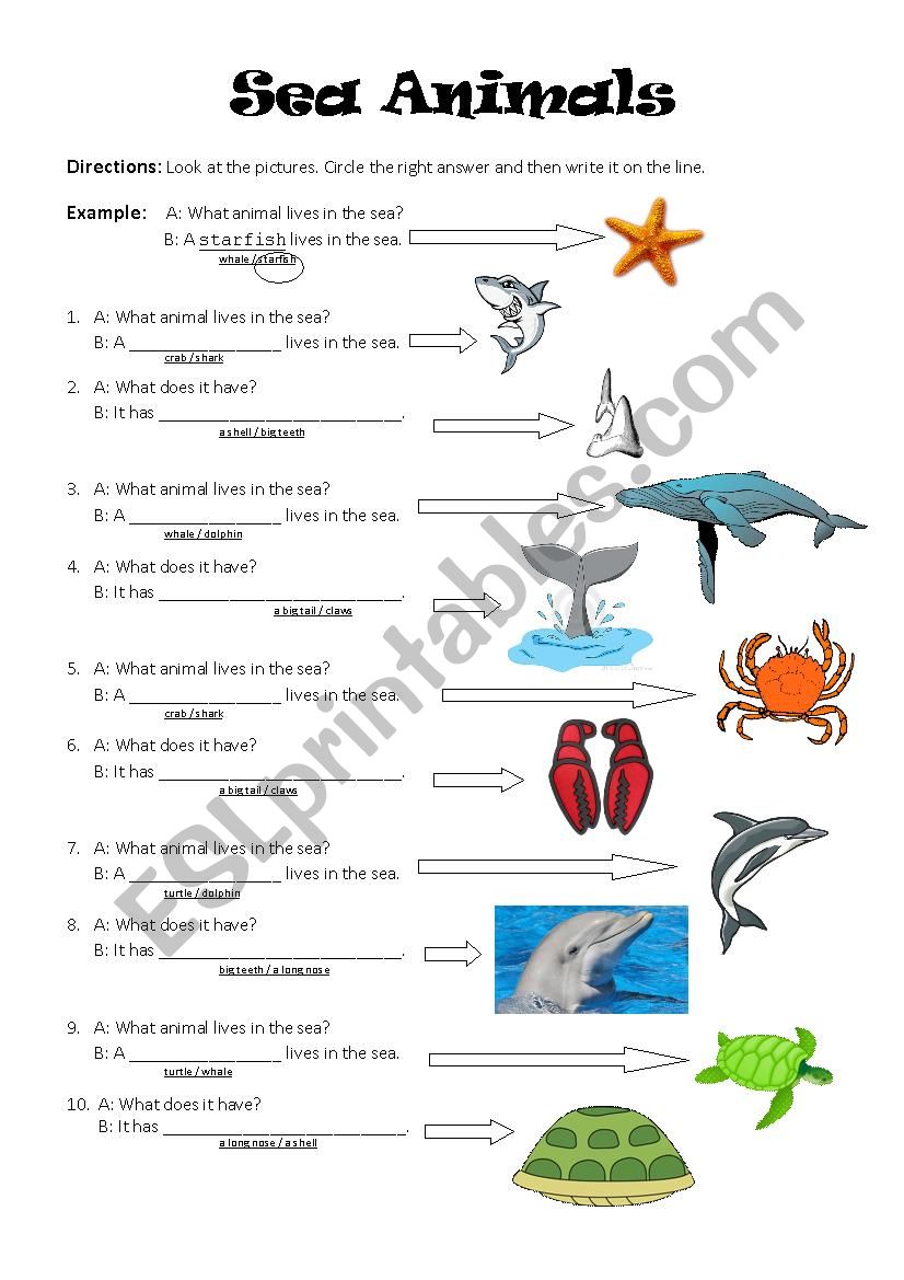 Sea Creatures worksheet
