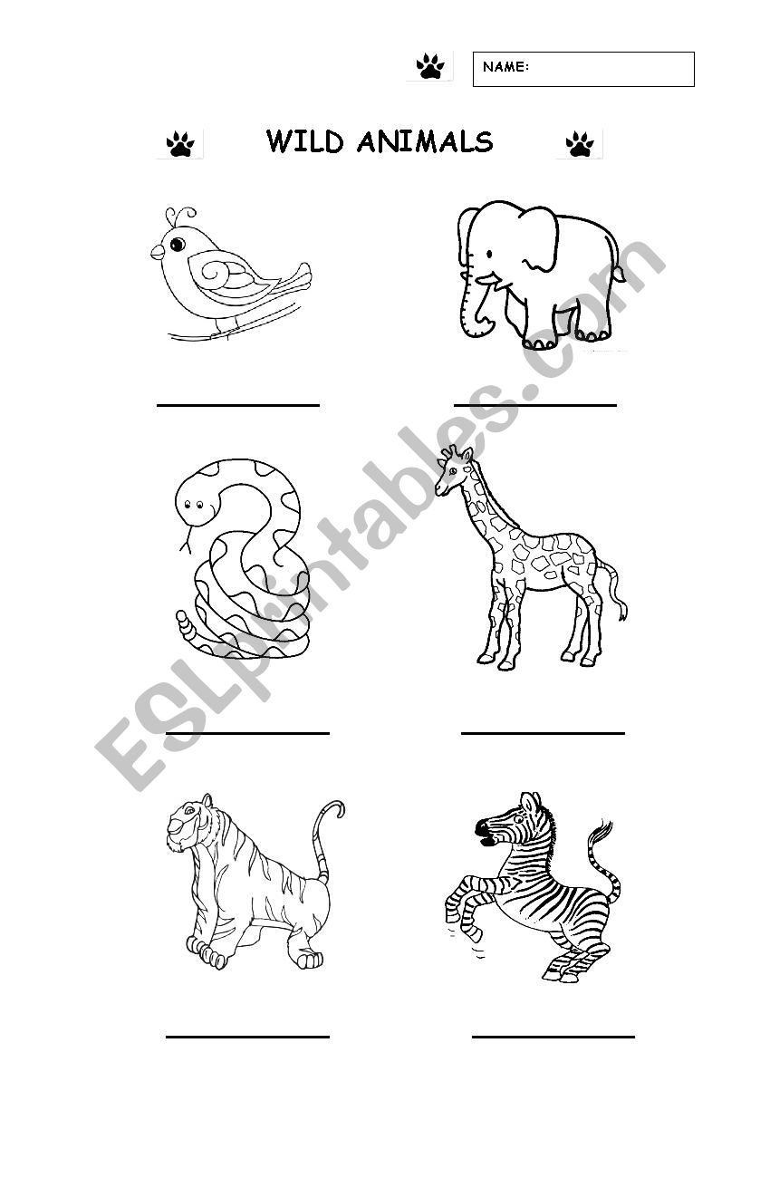 Wild Animals worksheet