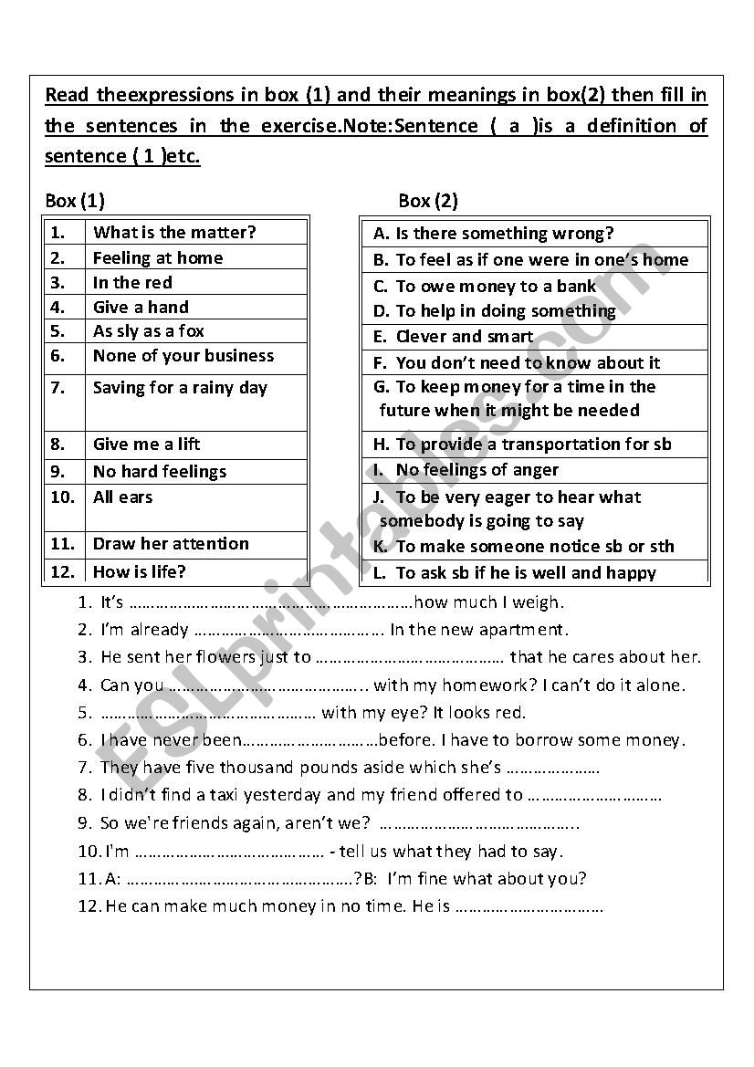 Expressions and idioms  worksheet