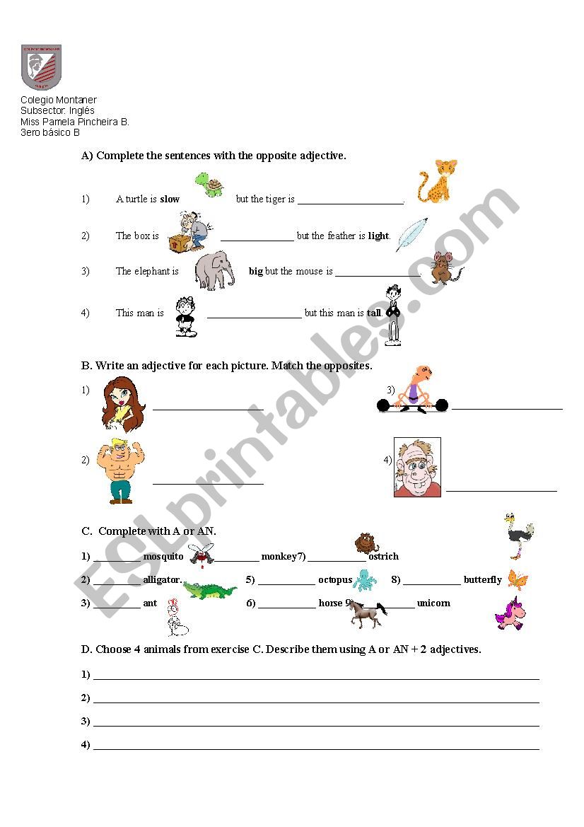 Descriptive Adjectives Exercises Worksheets