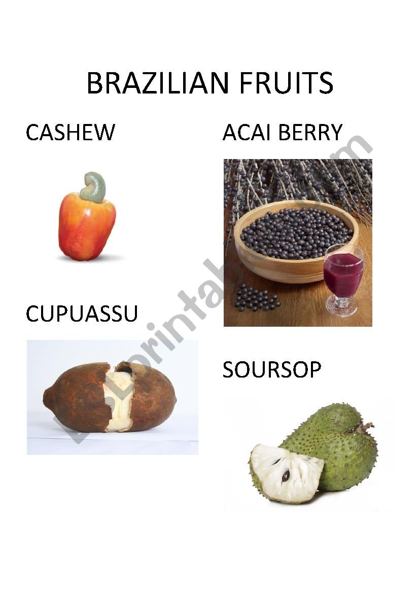 brazilian fruits worksheet