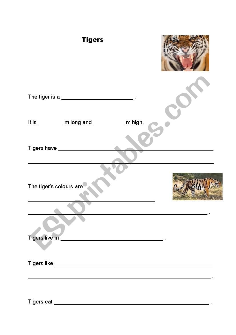 tigers worksheet