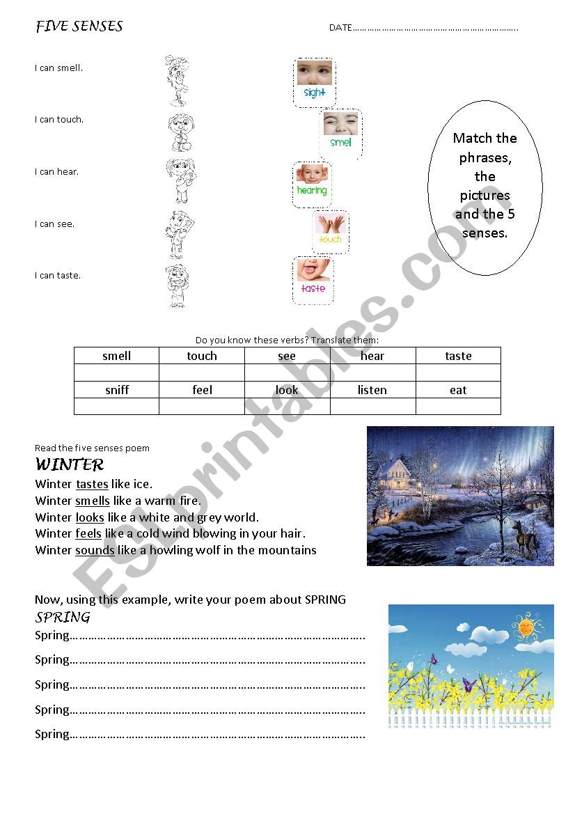 FIVE SENSES SPRING  worksheet