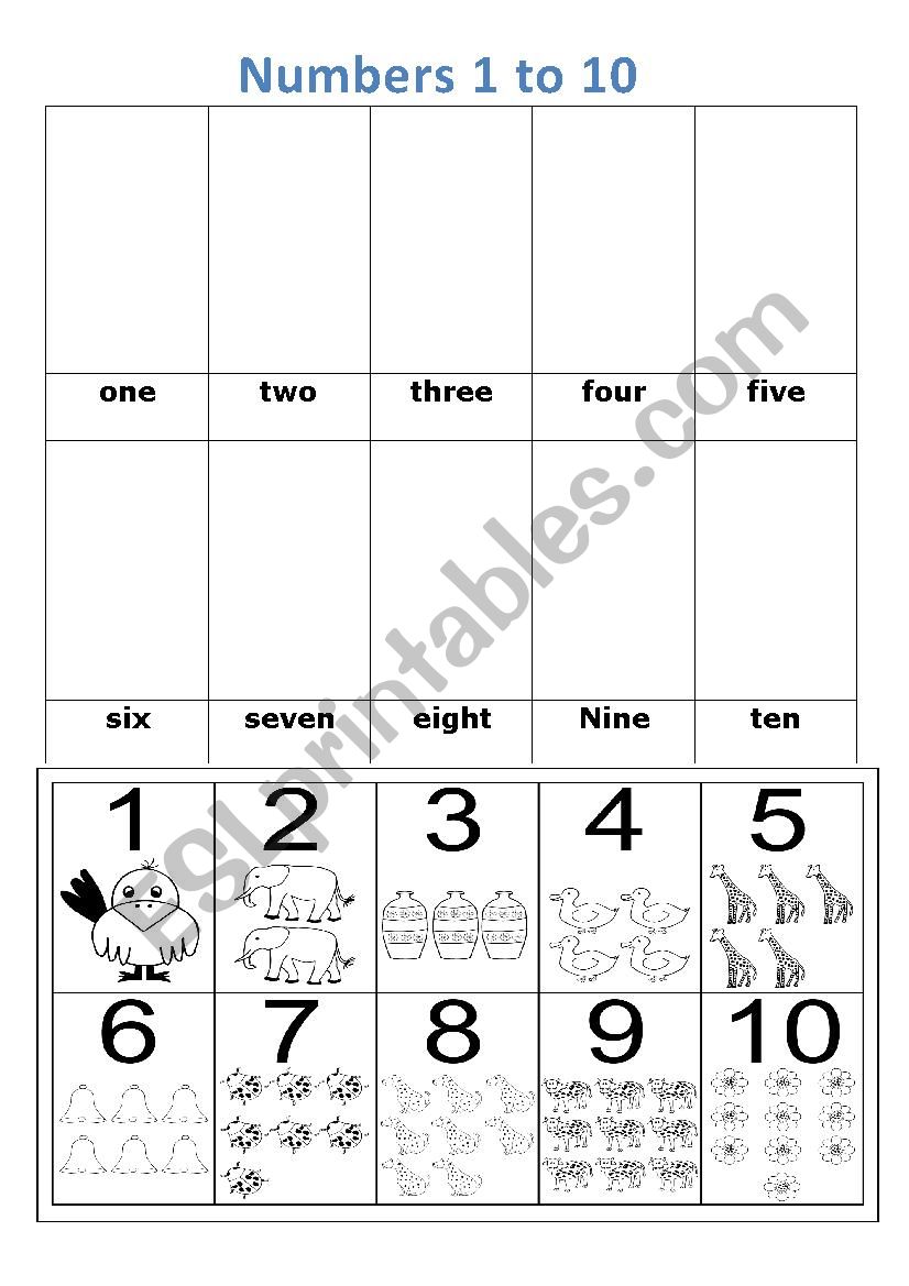 NUMBERS 1 to 1o worksheet