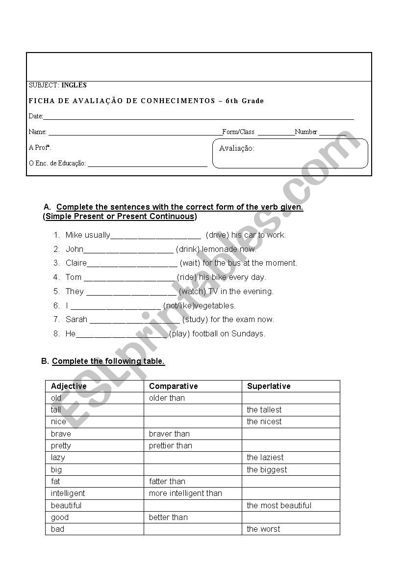 6th Grade Test worksheet