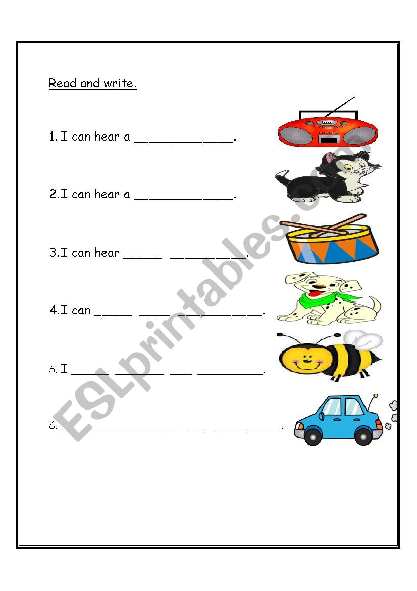 reading  worksheet