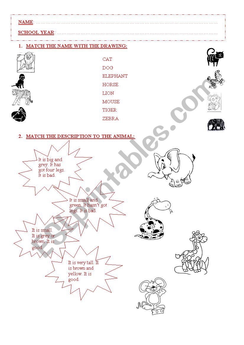 ANIMALS worksheet