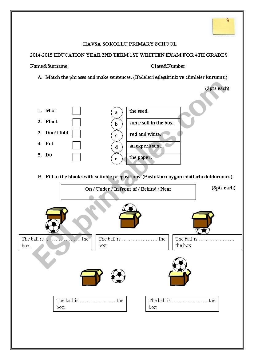 exam worksheet