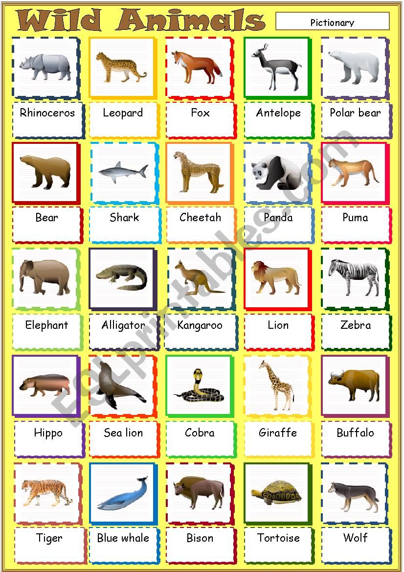 Wild Animals worksheet