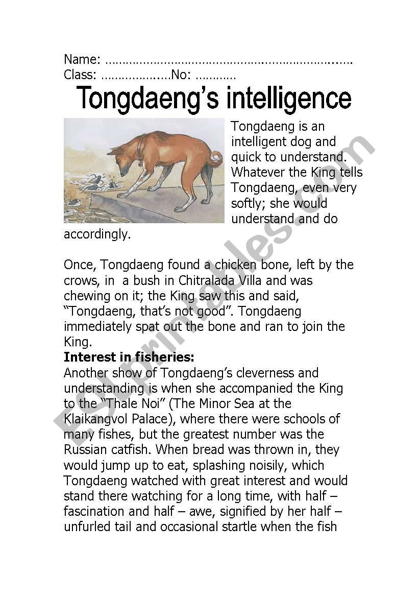 Tongdaengs Intelligence worksheet