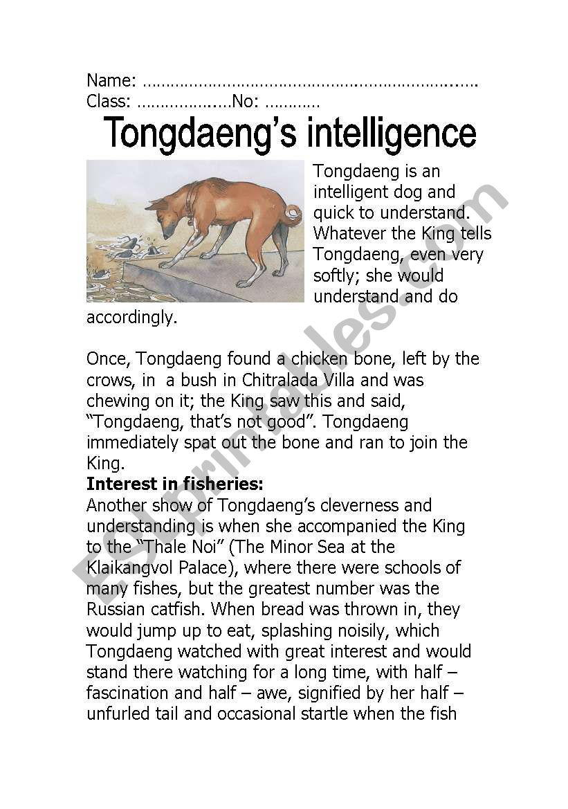 TongdaengÂ´s Intelligence worksheet
