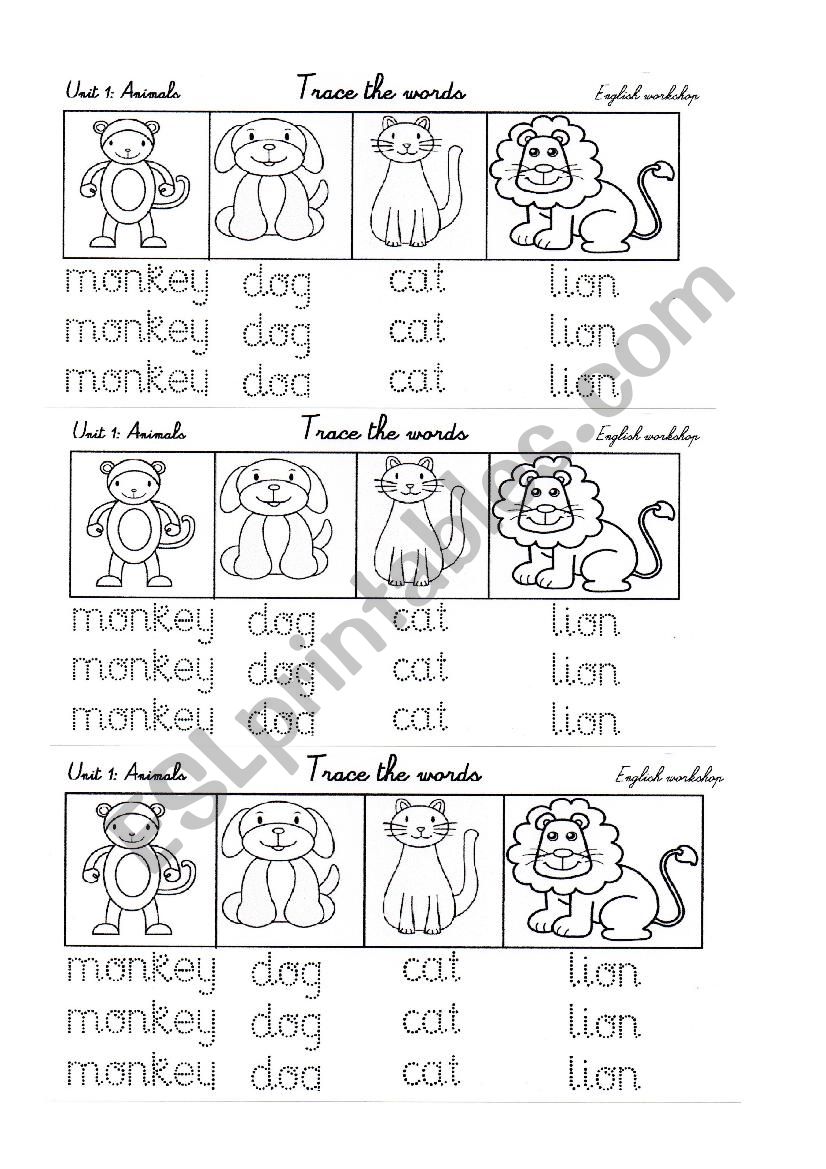 4 animals: cat monkey dog lion