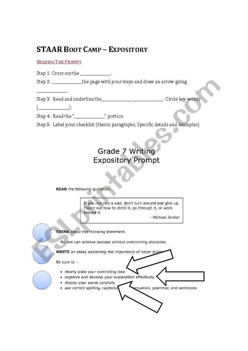 STAAR Expository Boot Camp  worksheet