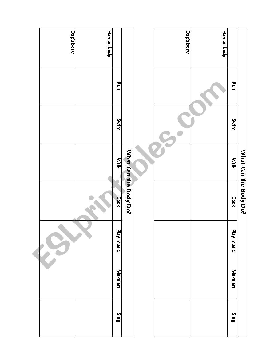 What can the body do? worksheet