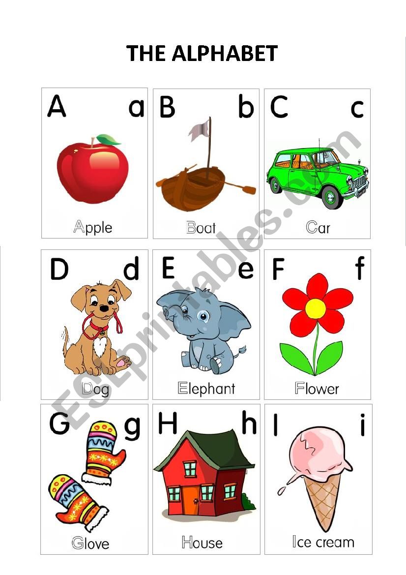 The alphabet worksheet