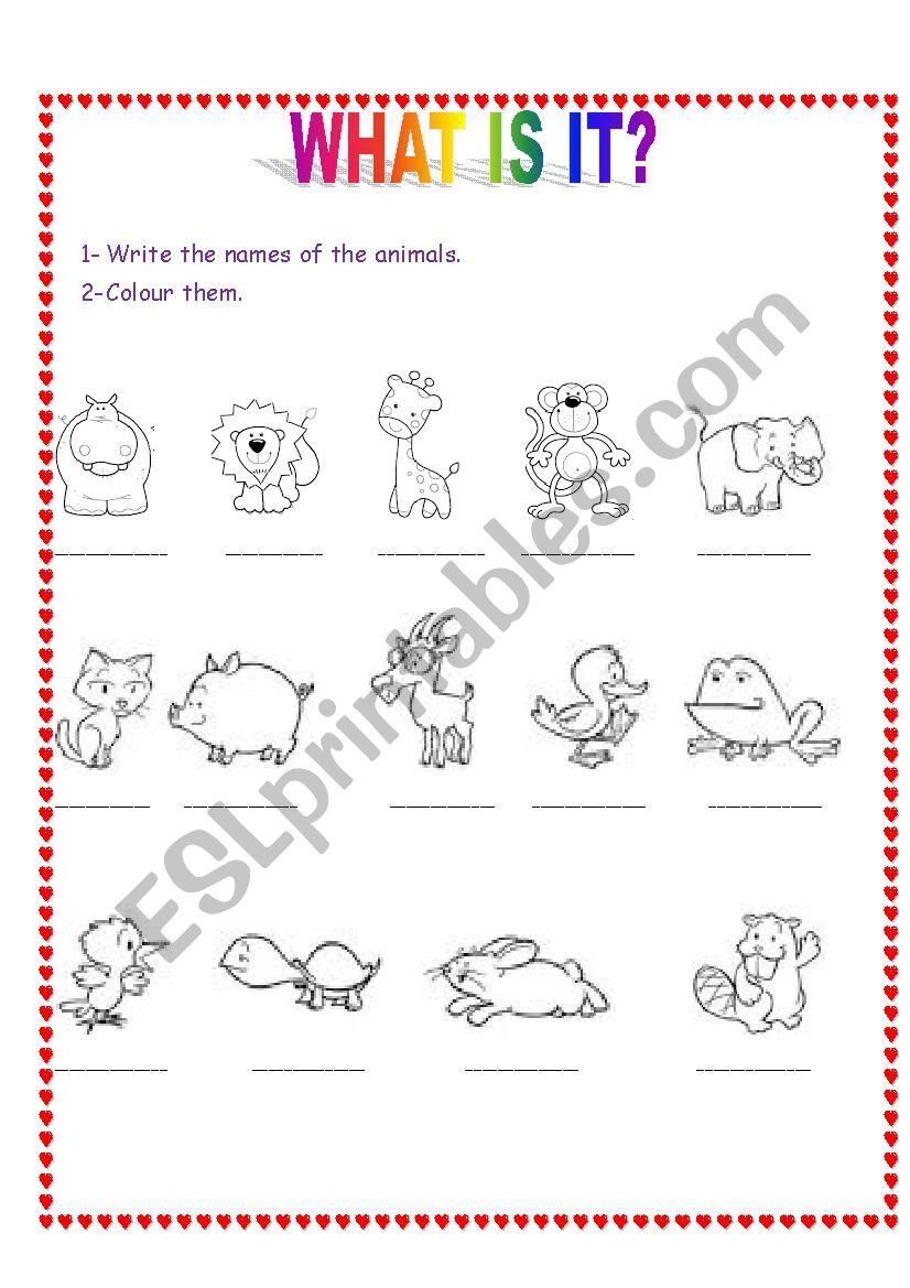 Animals Day worksheet