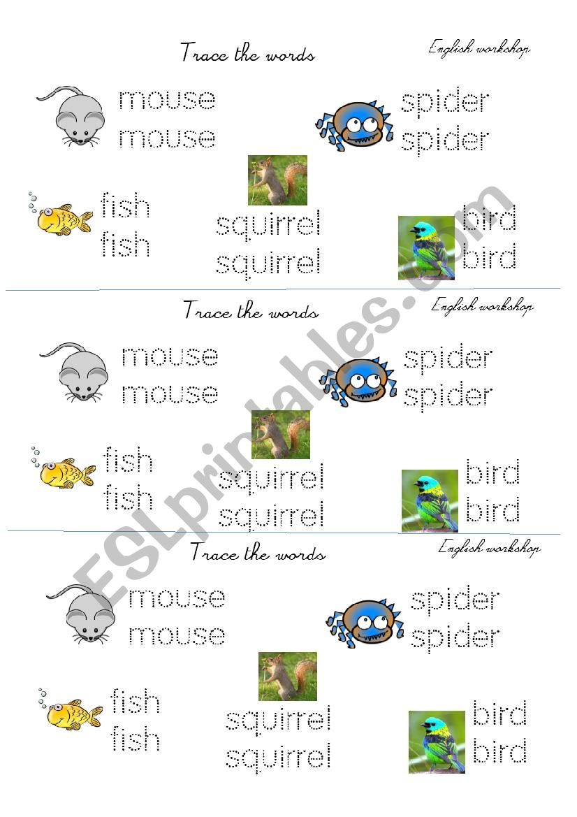 Animals: spider, bird, mouse, fish, squirrel