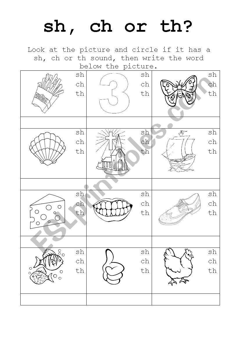 Phonics Recap Sh, Ch, Th worksheet