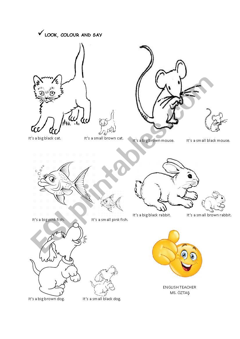 Pet Animals worksheet