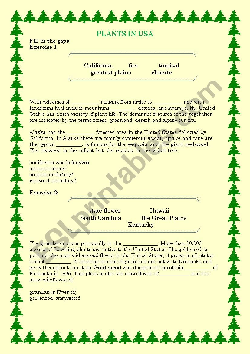 Plants in the usa worksheet