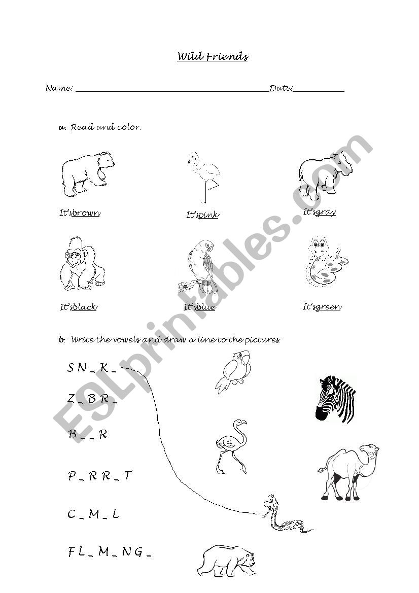 Wild Friends worksheet