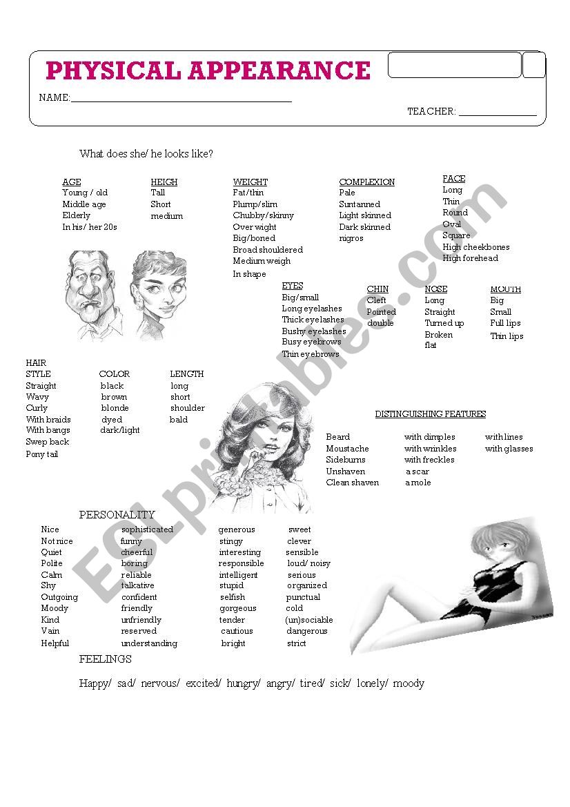 Calificative adjectives worksheet