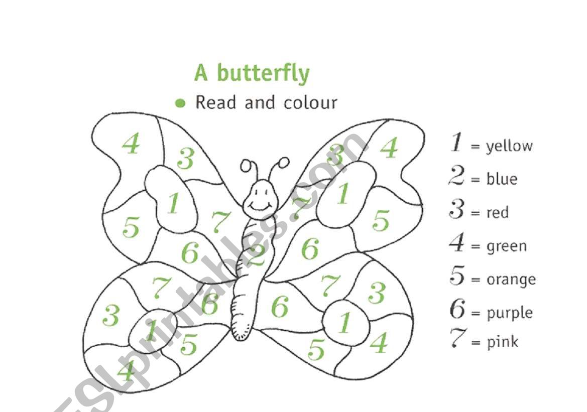 numbers and colours worksheet