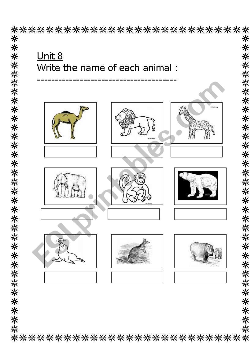 animals worksheet