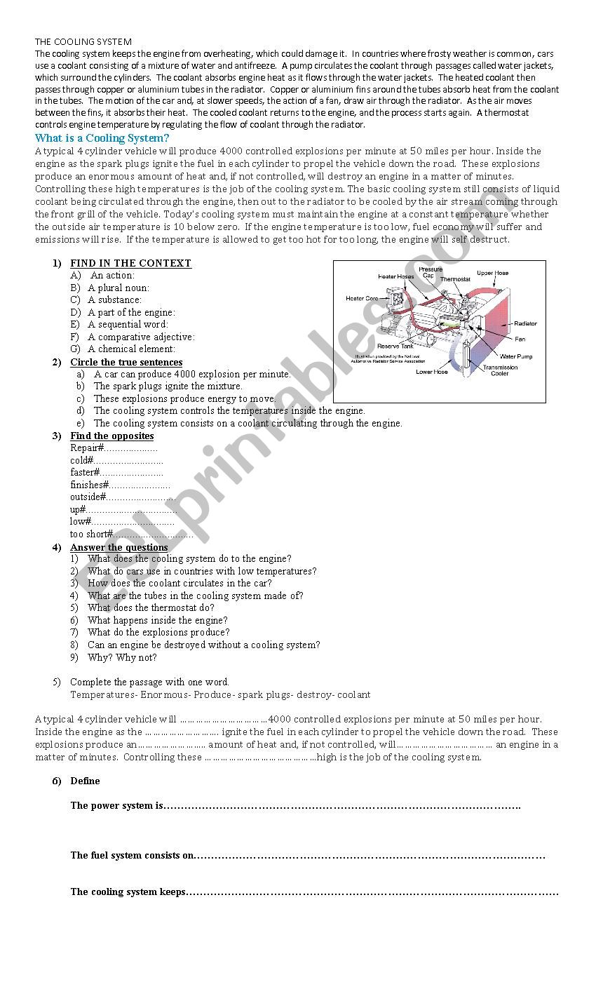 THE COOLING SYSTEM worksheet