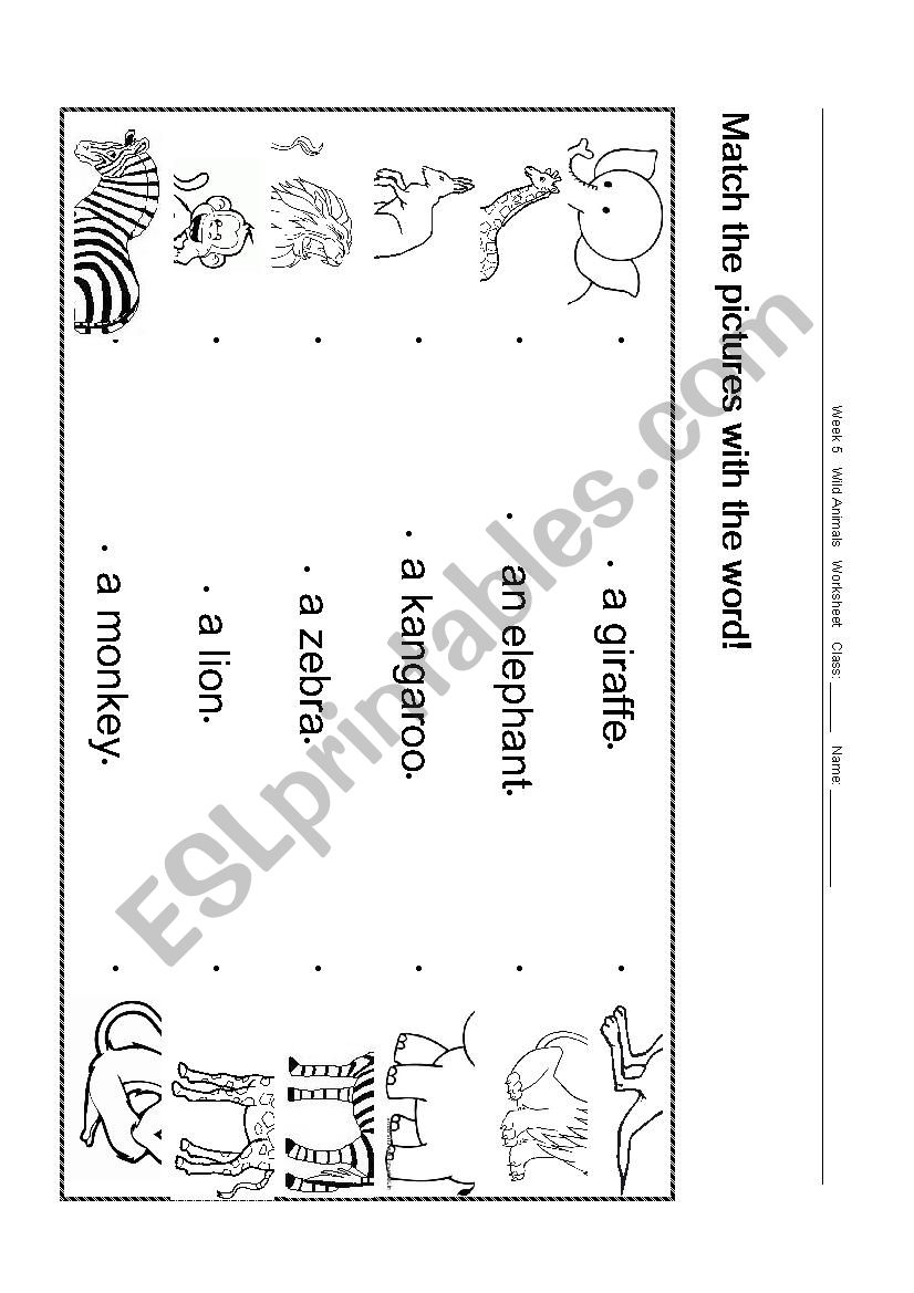 Match the pictures with words worksheet