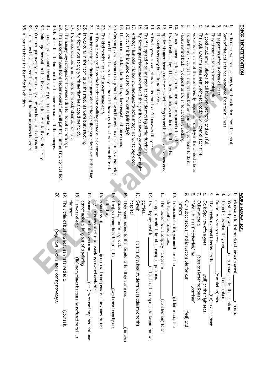 Error Identification worksheet