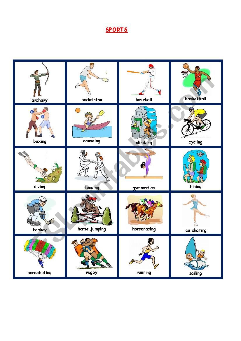SPORTS PICTIONARY worksheet