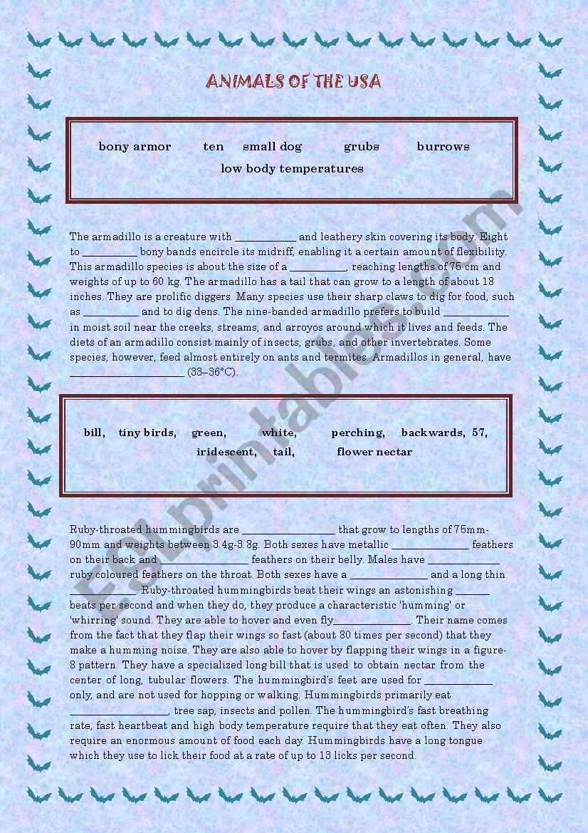 Animlas of the USA part 2 worksheet