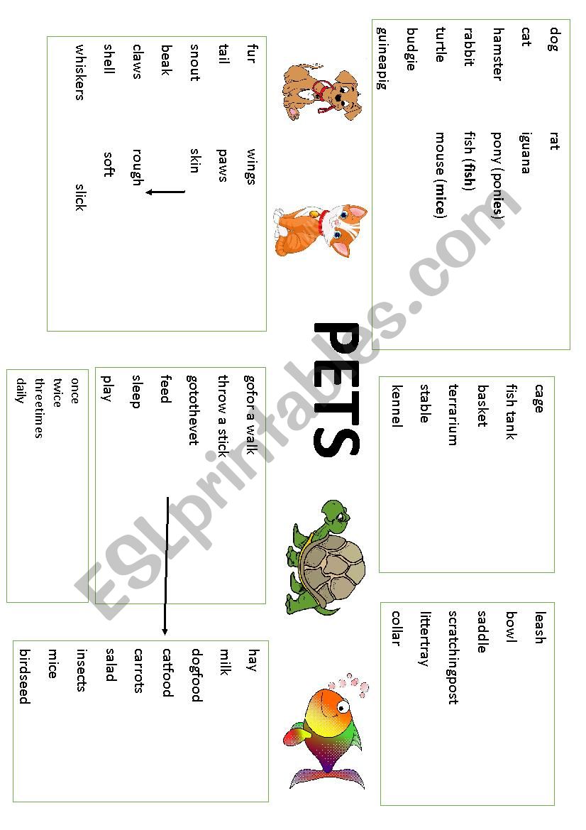 PETS - Vocabulary worksheet