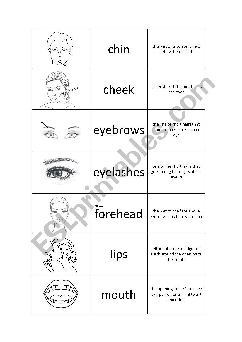 Some parts of the body worksheet