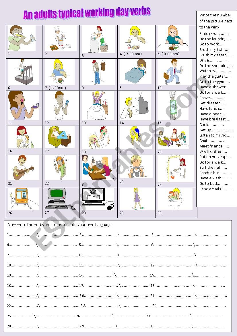 adults typical day verbs worksheet