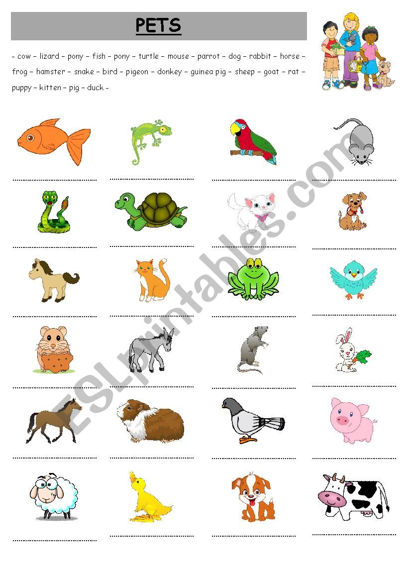 Pets worksheet