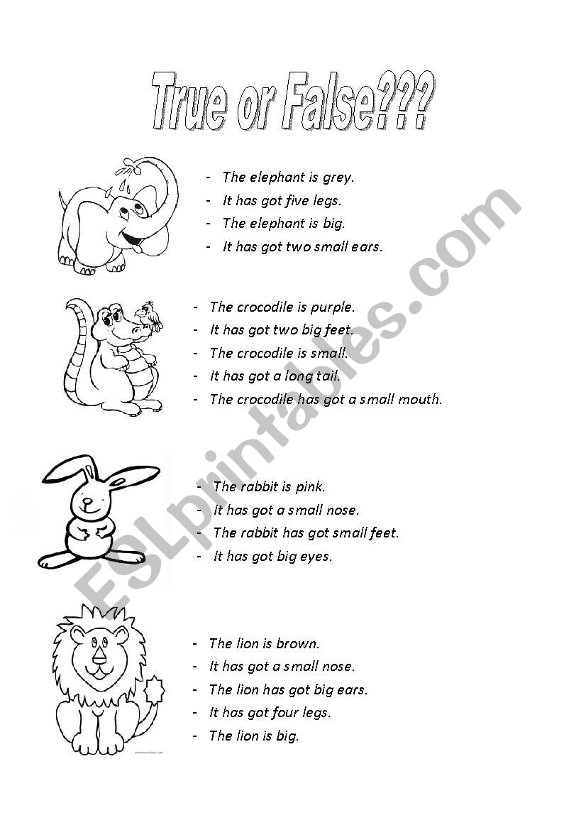 animals worksheet