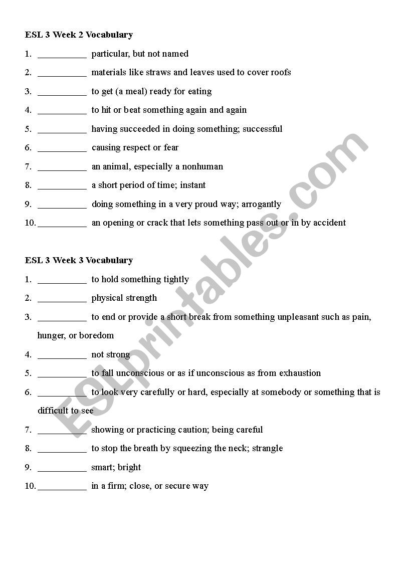 vocabulary worksheet