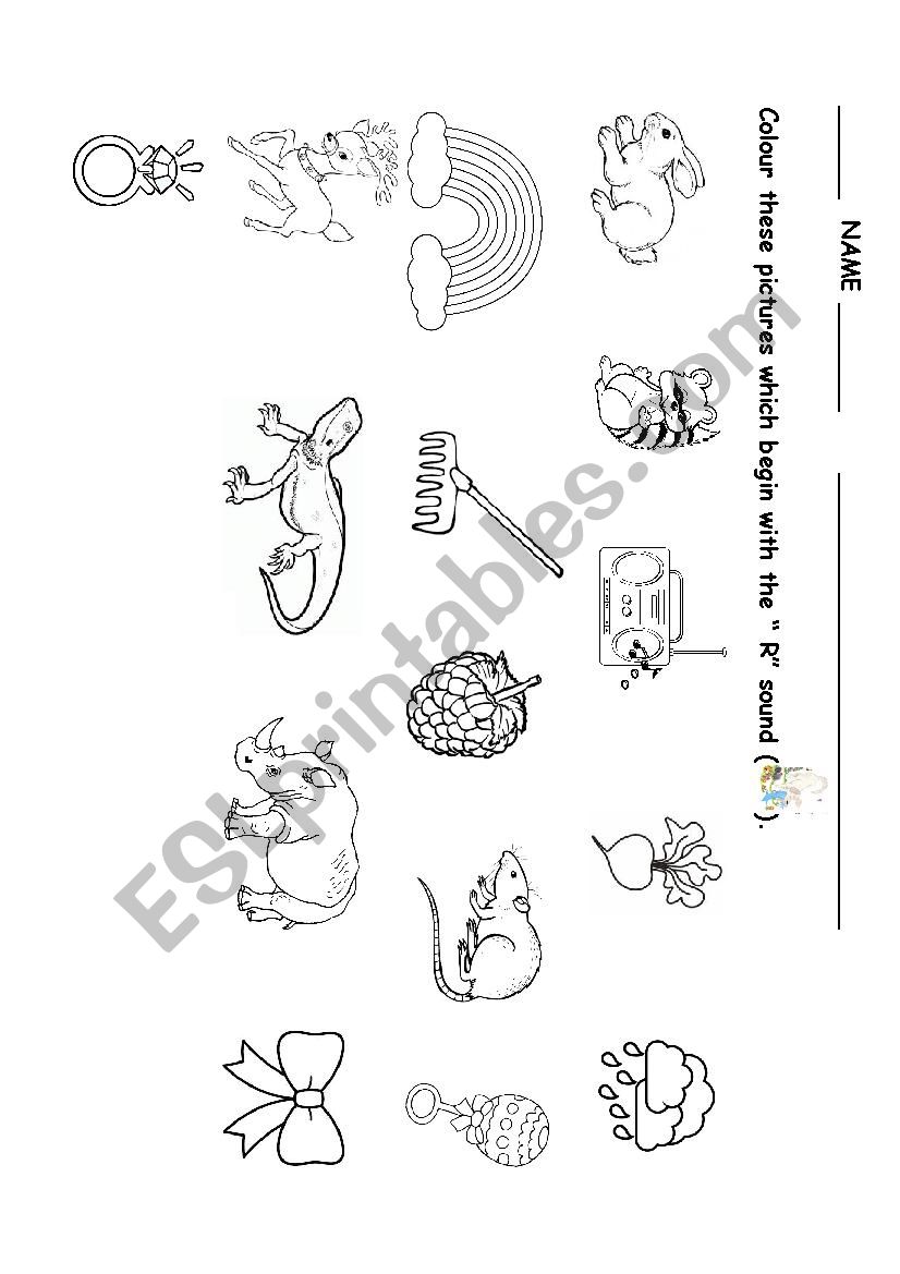 THE R SOUND  worksheet