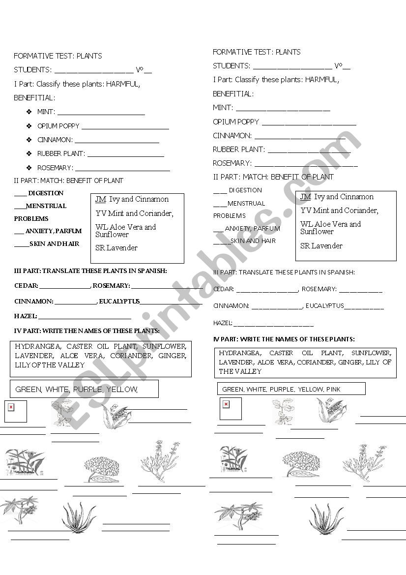 CLASSWORK  worksheet