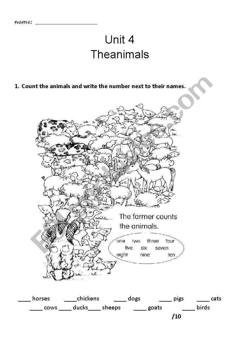 Animals Exam worksheet