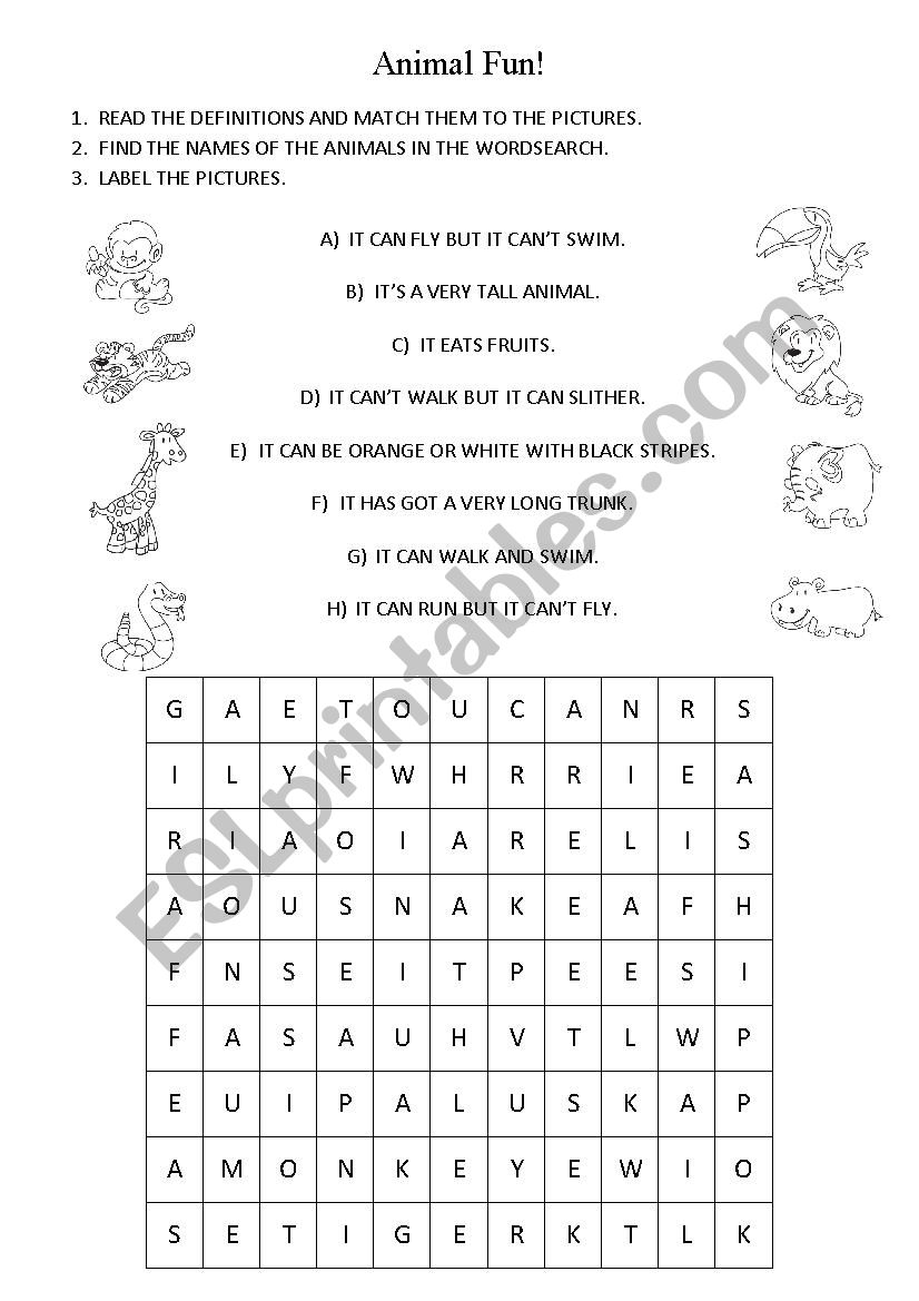 Animal Fun worksheet