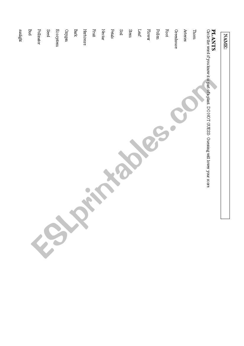 Plant vocabulary lesson worksheet