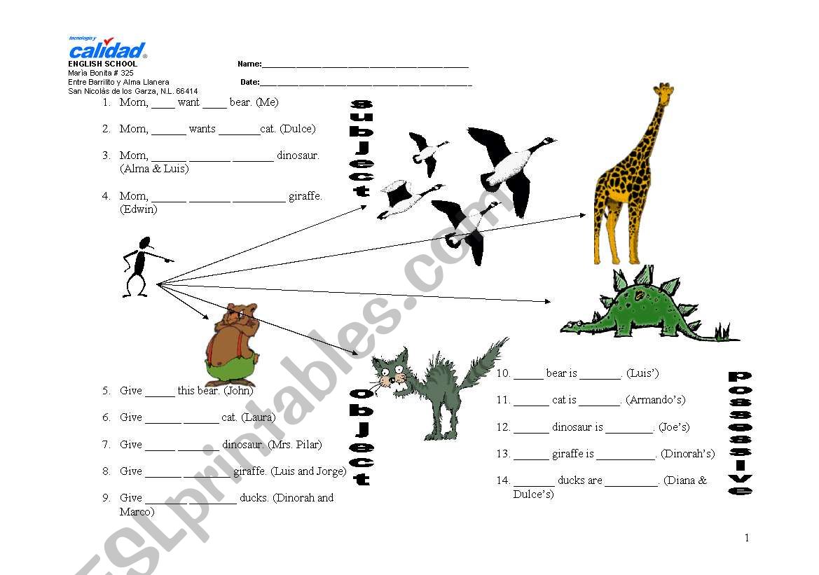 object, subject, possessives and demonstrative pronouns